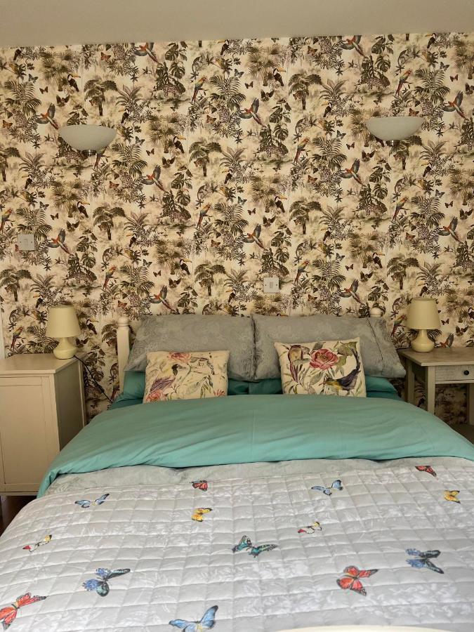 Enchanted Cottage Mullaghbane Екстериор снимка