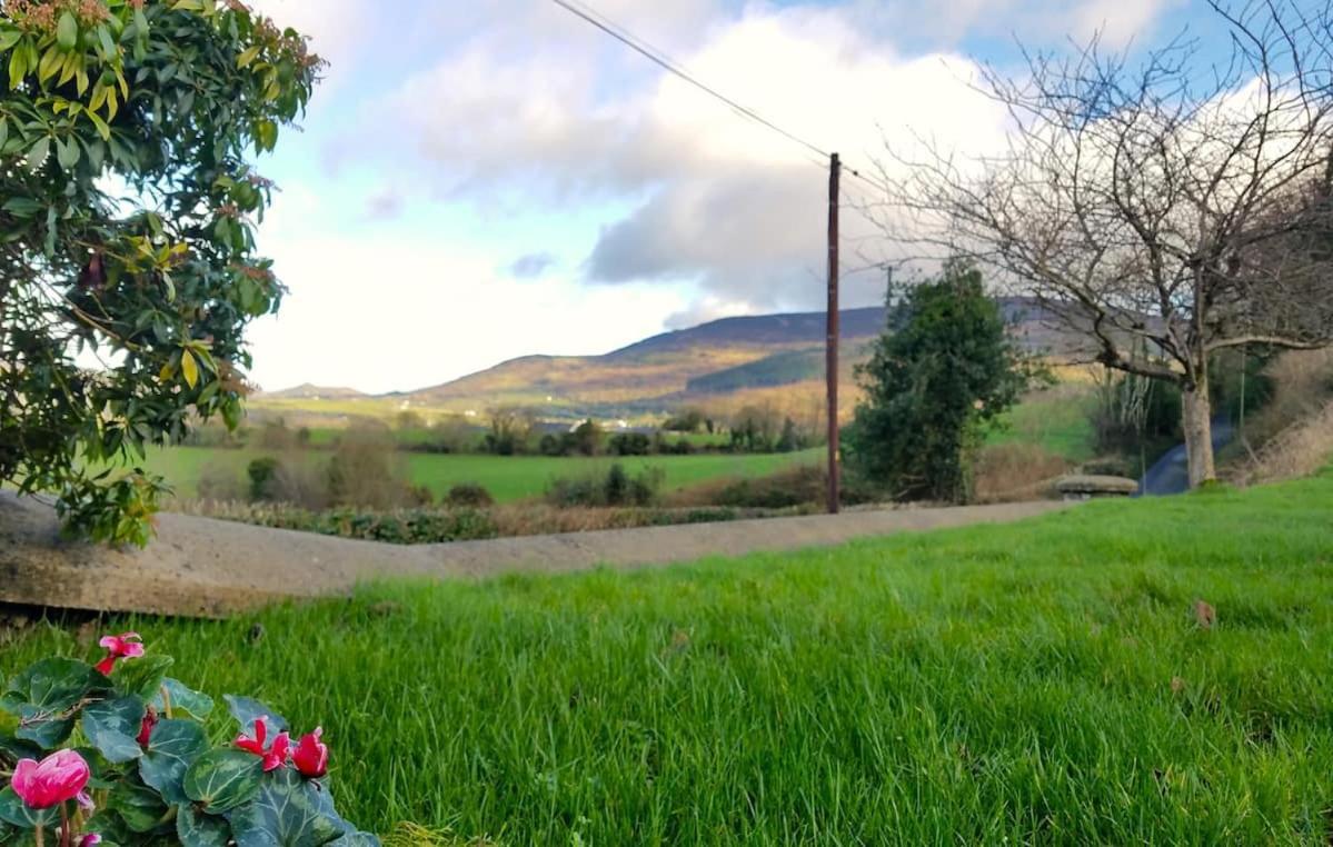 Enchanted Cottage Mullaghbane Екстериор снимка